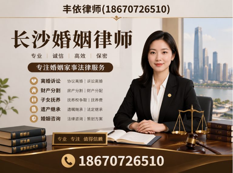 湖南丰依律师团队展示图